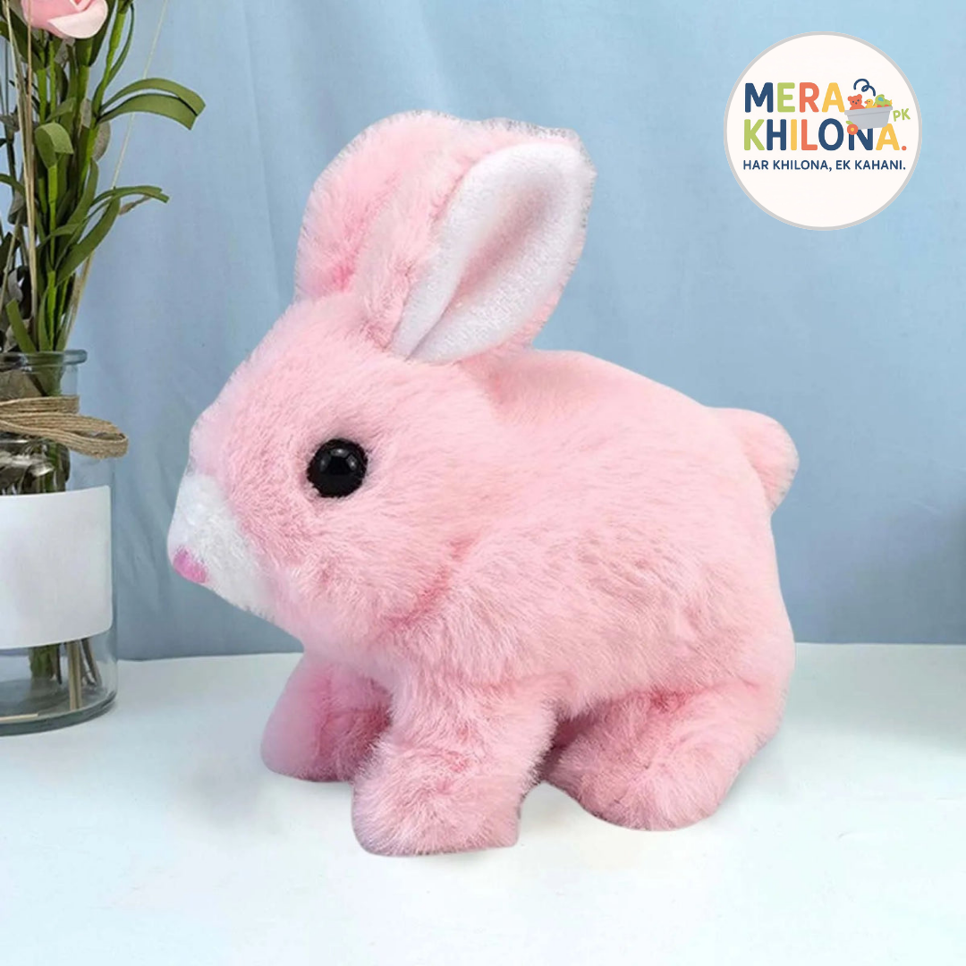 Plush Bunny Pair