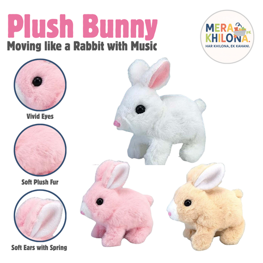 Plush Bunny Pair