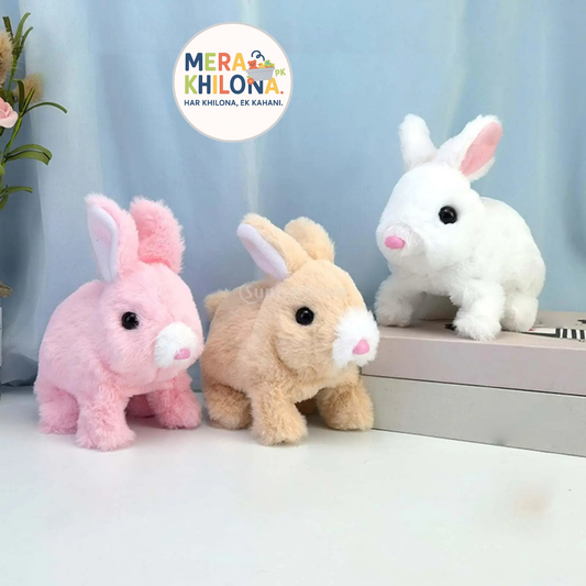 Plush Bunny Pair